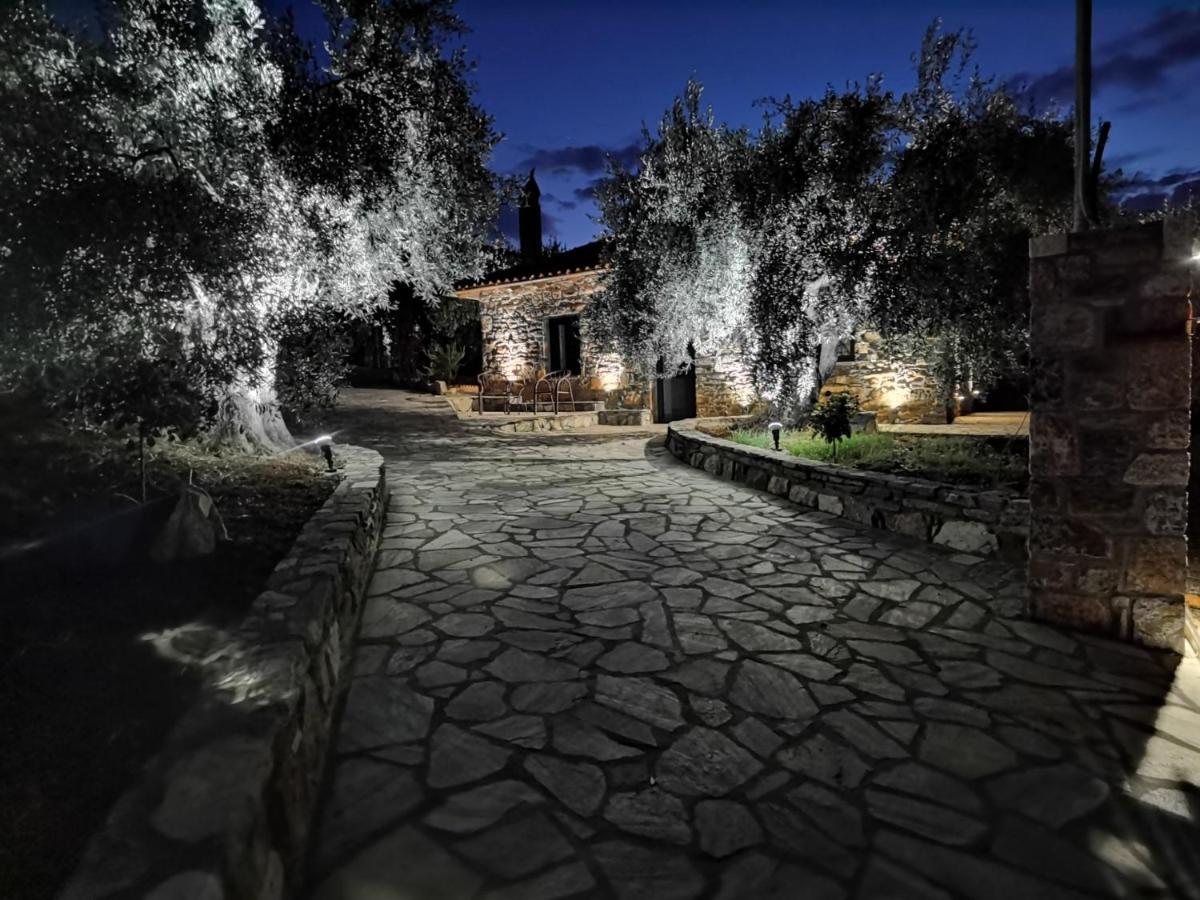Elaion Thea2-Nies Villa Sourpi ภายนอก รูปภาพ